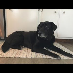 Meet your Posher, Jenny